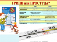 Слайд4